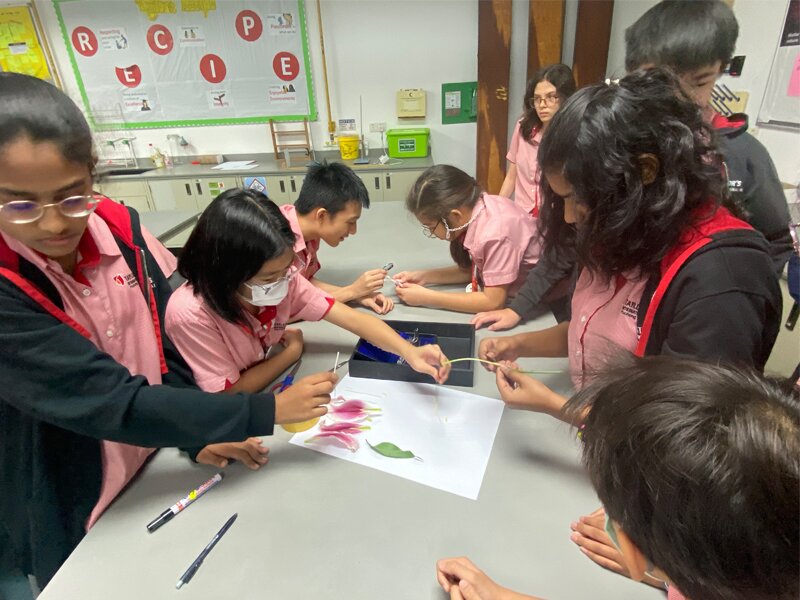 Year 8 students running an experiment on plants during their science class